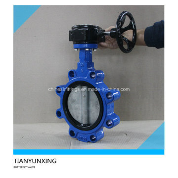 Stainless Steel Disc Soft Sealed Casting Body Lug Butterfly Valve